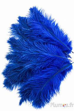 Struisvogel - 30-40 cm - grijs natuurlijk-blauw
